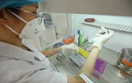 TP Hồ Chí Minh ghi nhận tổng cộng 92 ca mắc Omicron