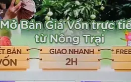 Kết nối sàn thương mại để tiêu thụ nông sản
