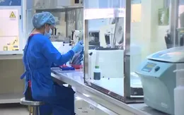 Hải Dương ghi nhận ca nhiễm biến thể phụ BA.5.2