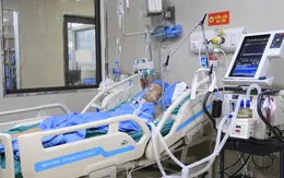Nam thanh niên hôn mê sâu, suy đa tạng sau khi uống rượu táo mèo