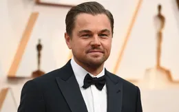 Leonardo DiCaprio được giới khoa học vinh danh, đặt tên cho cây!