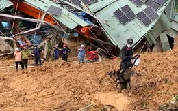 Đưa chó nghiệp vụ tìm kiếm nạn nhân vụ sạt lở ở thủy điện Kà Tinh 1