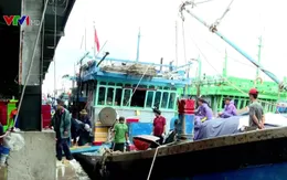 Việt Nam nỗ lực xây dựng nghề cá bền vững, có trách nhiệm