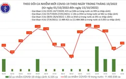 Ngày 15/10: Số ca mắc COVID-19 tăng lên 732, không có bệnh nhân tử vong