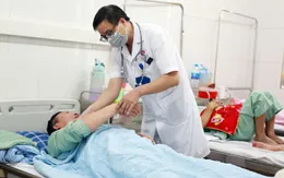 Quảng Ninh: Gia tăng số ca mắc sốt xuất huyết