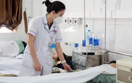 Cảnh báo số ca mắc sốt xuất huyết gia tăng tại Quảng Ninh