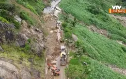 Bán đảo Sơn Trà ngổn ngang sau mưa bão