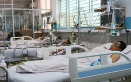 Bệnh nhân sốt xuất huyết nặng tiếp tục gia tăng, TP. Hồ Chí Minh phân tuyến điều trị