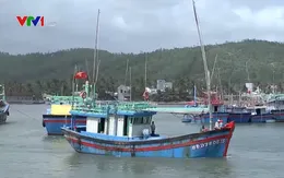 Khẩn trương hỗ trợ, tìm kiếm các thuyền viên gặp nạn trên biển Phú Quý ​