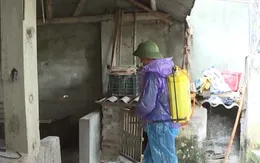 Khống chế, ngăn chặn ổ dịch cúm A/H5 xuất hiện lại sau hơn 8 năm