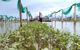 Khó khăn của người dân vùng lũ Thừa Thiên Huế