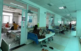 Cảnh báo dịch sốt xuất huyết bùng phát vào tháng 11,12