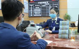 Hơn 88% tổ chức tín dụng dự kiến lợi nhuận tốt