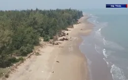 Hà Tĩnh: Sạt lở bờ biển diễn biến phức tạp
