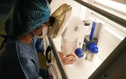 Kỹ thuật hiện đại nuôi phôi tăng tỷ lệ thành công trong điều trị vô sinh