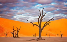 10 điểm du lịch lý tưởng vào mùa đông dành cho người sợ lạnh