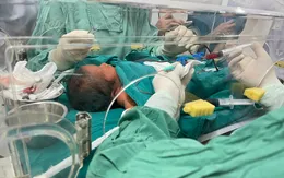 Thay máu toàn phần cứu trẻ sơ sinh bị vàng da nặng, bất đồng nhóm máu với mẹ