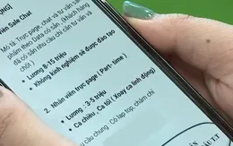 Tân sinh viên và cạm bẫy "việc nhẹ, lương cao"