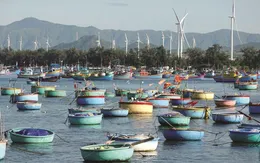 Bình Thuận tăng cường kiểm tra chống khai thác IUU