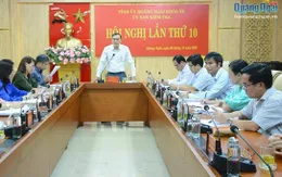 Quảng Ngãi kỷ luật nhiều tổ chức đảng và đảng viên vi phạm