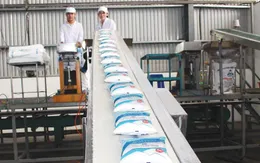 Mía đường “hồi sức”