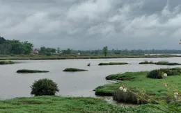 Cứu bạn ngã xuống sông, thiếu niên 16 tuổi bị đuối nước tử vong