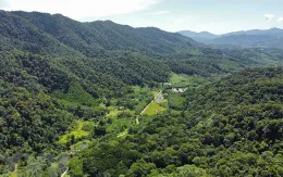 Quy hoạch lâm nghiệp bảo đảm thực hiện cam kết COP26