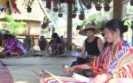 Khởi động Festival hoa Đà Lạt