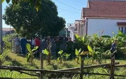 Chém hàng xóm tử vong vì chặt cây đổ vào nhà