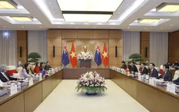 Tăng cường hợp tác chuyên môn giữa Quốc hội Việt Nam - New Zealand