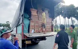 Bắt giữ nhiều đối tượng vận chuyển hàng hóa trái phép