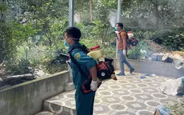 Hà Nội thêm 2 ca tử vong do sốt xuất huyết