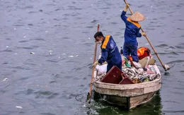 Hà Nội sẽ đánh bắt cá để giảm mật độ trong hồ Tây