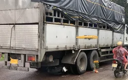 Xe tải chạy lùi trên Quốc lộ 1A làm 3 người thiệt mạng