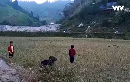 Rủi ro chất độc rình rập cuộc sống người dân cạnh mỏ vàng