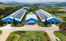 Vì sao nhà đầu tư nên chọn ít nhất 1 cổ phiếu ESG trong danh mục đầu tư?