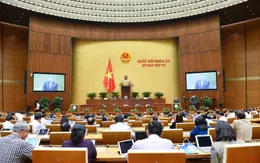 Ngày 8/11, Quốc hội thảo luận về phòng chống tội phạm, tham nhũng