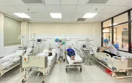 Cấp cứu nhiều bệnh nhân bị ong đốt