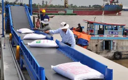 Gạo Việt xác lập vị thế mới