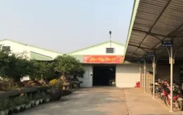 Thành phố Hưng Yên kiên quyết xử lý trường hợp xây dựng trái phép trên đất nông nghiệp