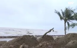 Bố trí 130 tỷ đồng xử lý khẩn cấp chống sạt lở, xâm thực bờ biển Thanh Hóa