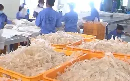 Việt Nam phải nhập khẩu 90% rong biển