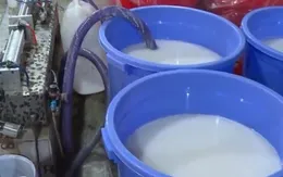 Sản xuất sữa tắm, dầu gội bằng "công nghệ xô chậu"