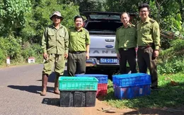 Bình Phước: Thả 14 loài động vật quý hiếm về rừng tự nhiên