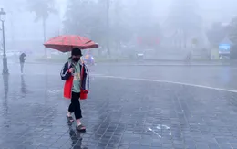 Bắc Bộ và Bắc Trung Bộ trời tiếp tục rét, Quảng Trị đến Khánh Hòa cục bộ có mưa to