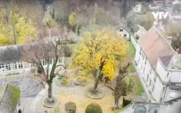 Pháp - một trong những quốc gia hàng đầu về bảo tồn di sản