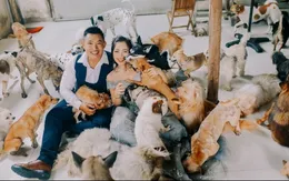 Saigon Time - Mái ấm yên bình của những thú cưng bị bỏ rơi