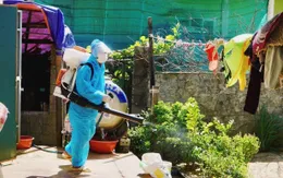 Số ca mắc sốt xuất huyết ở Quảng Bình tăng mạnh