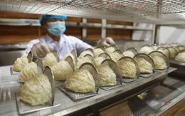 Cơ hội xuất khẩu tổ yến sang Trung Quốc