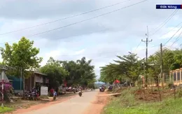 Cuộc sống mới của những người di cư tự do